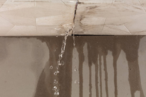Professional Structural Drying technician working in Ontario, WI